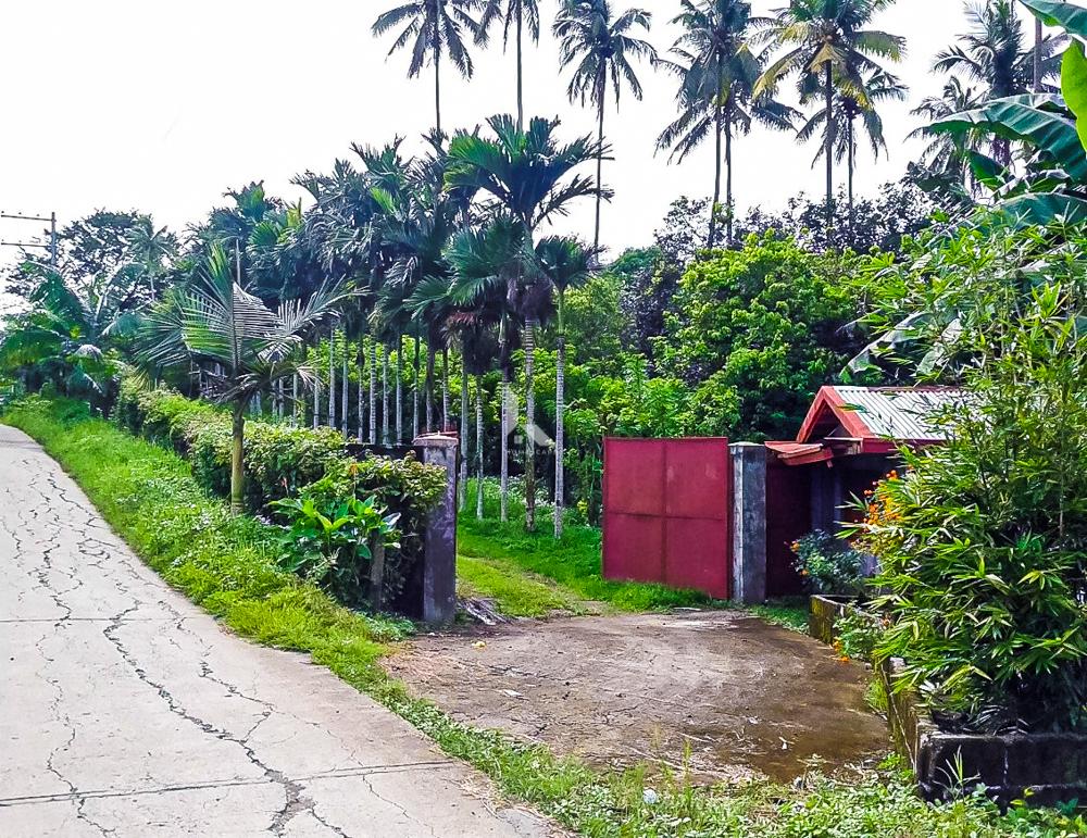 Vast Farm Lot with a 2 Storey House For Sale in Lipa, Batangas