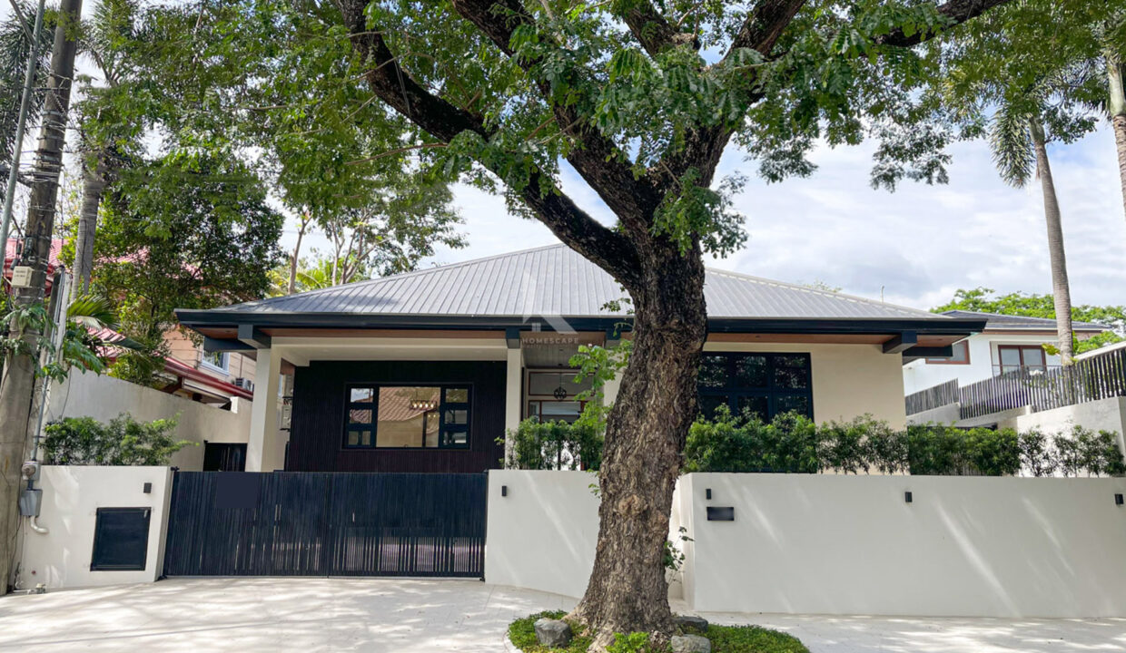 E61A335E-45AA-4A7B-B241-5F159D358106