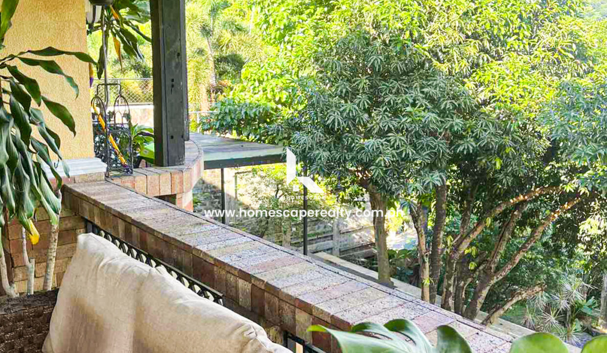 viber_image_2025-10-23_16-19-01-440