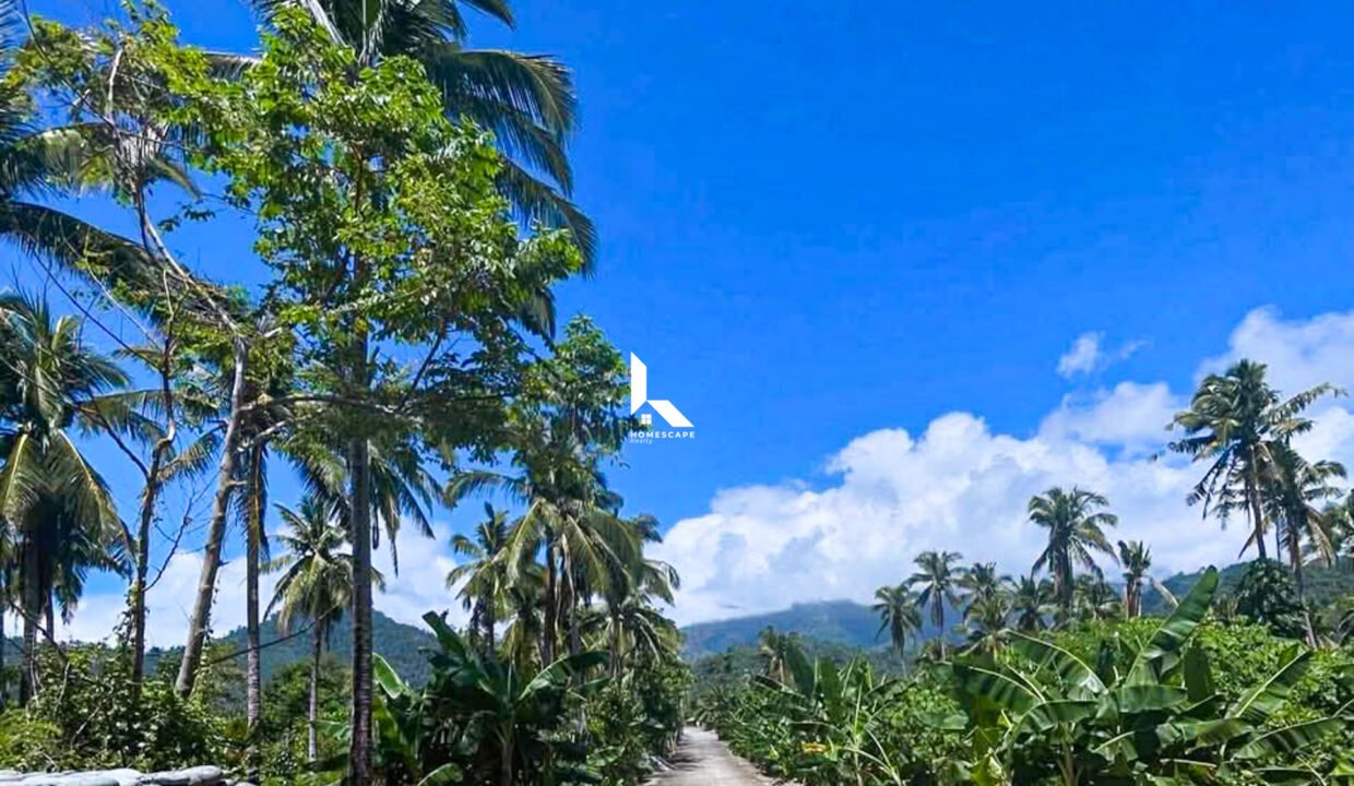 594360784_1259282316234208_142373334169943437_n