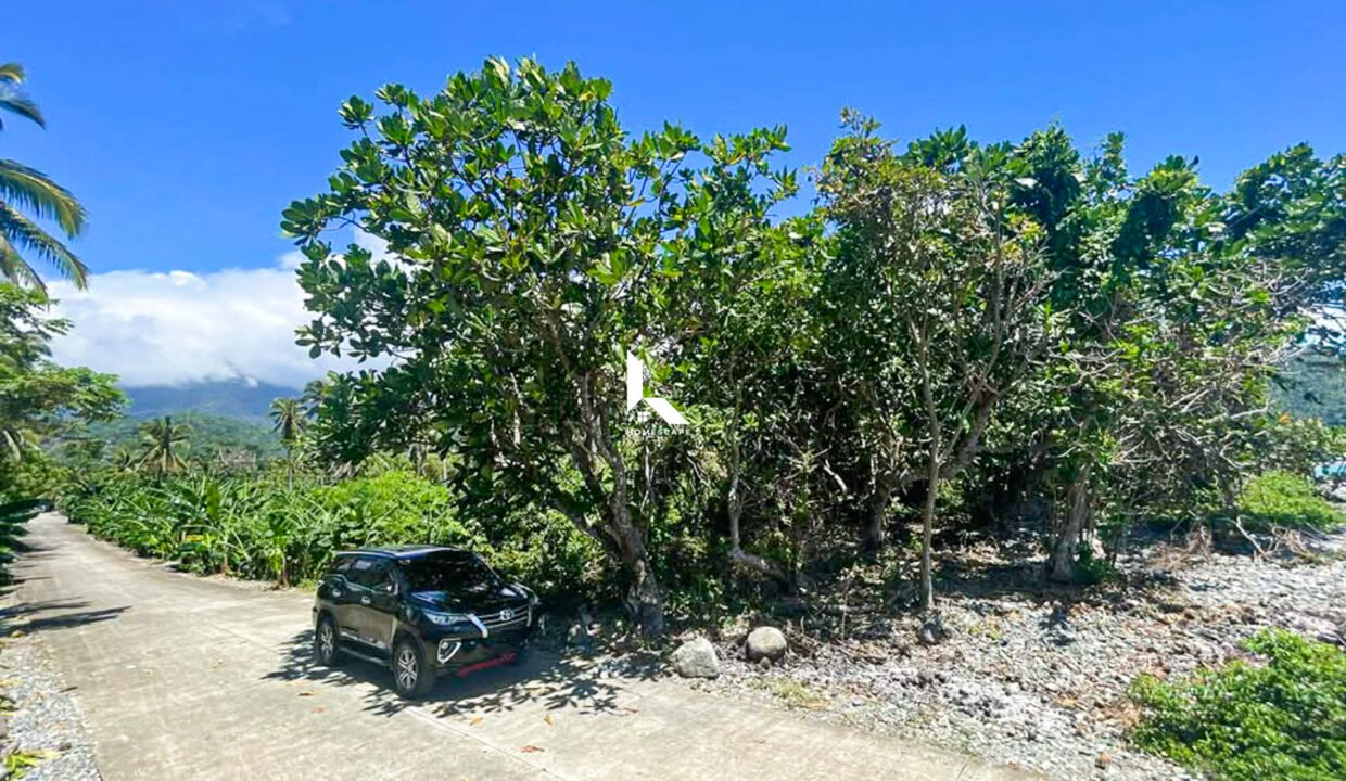 597205351_2080094339421353_9162827275447192885_n