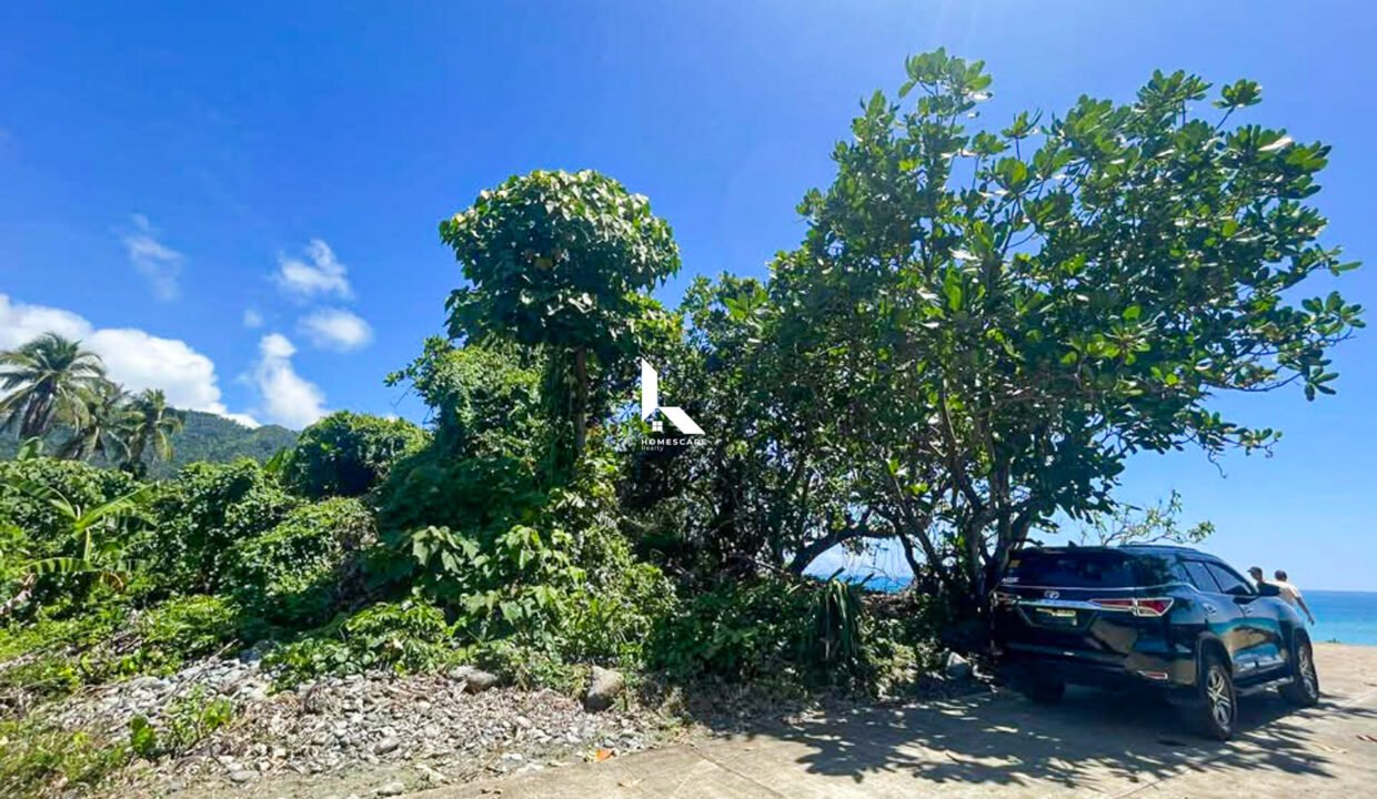 597641449_1480379356398368_7185714491629139621_n