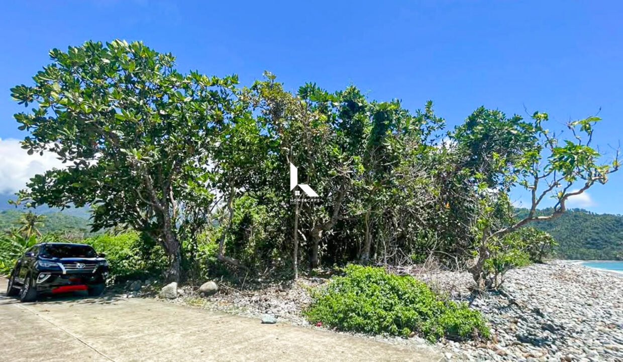 598309560_1361236802143649_4617132475471169775_n