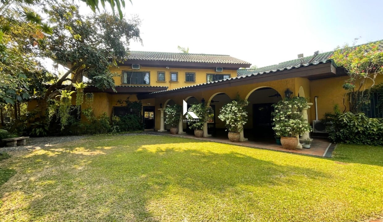 IMG (34) (1)