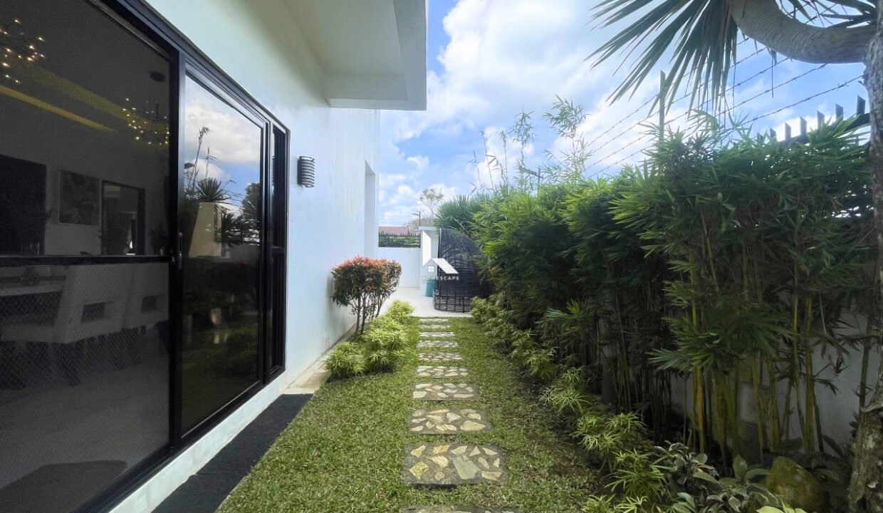 IMG (4) (1)