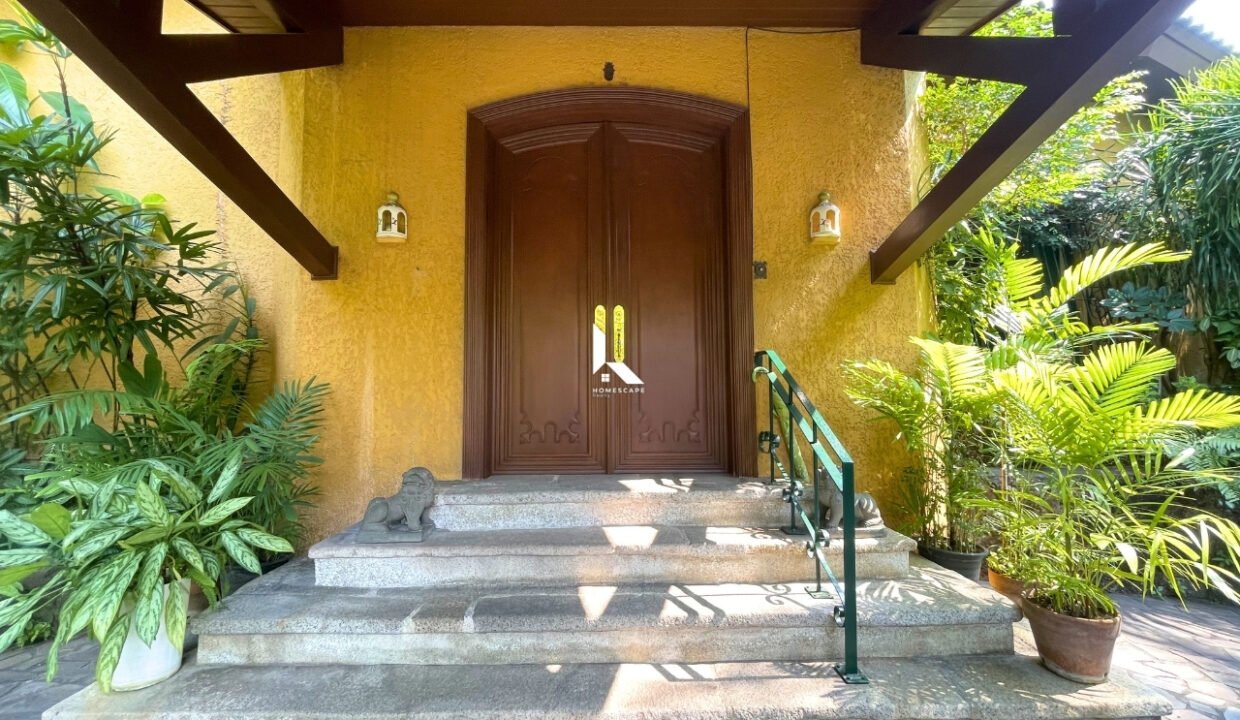 IMG (6) (1)
