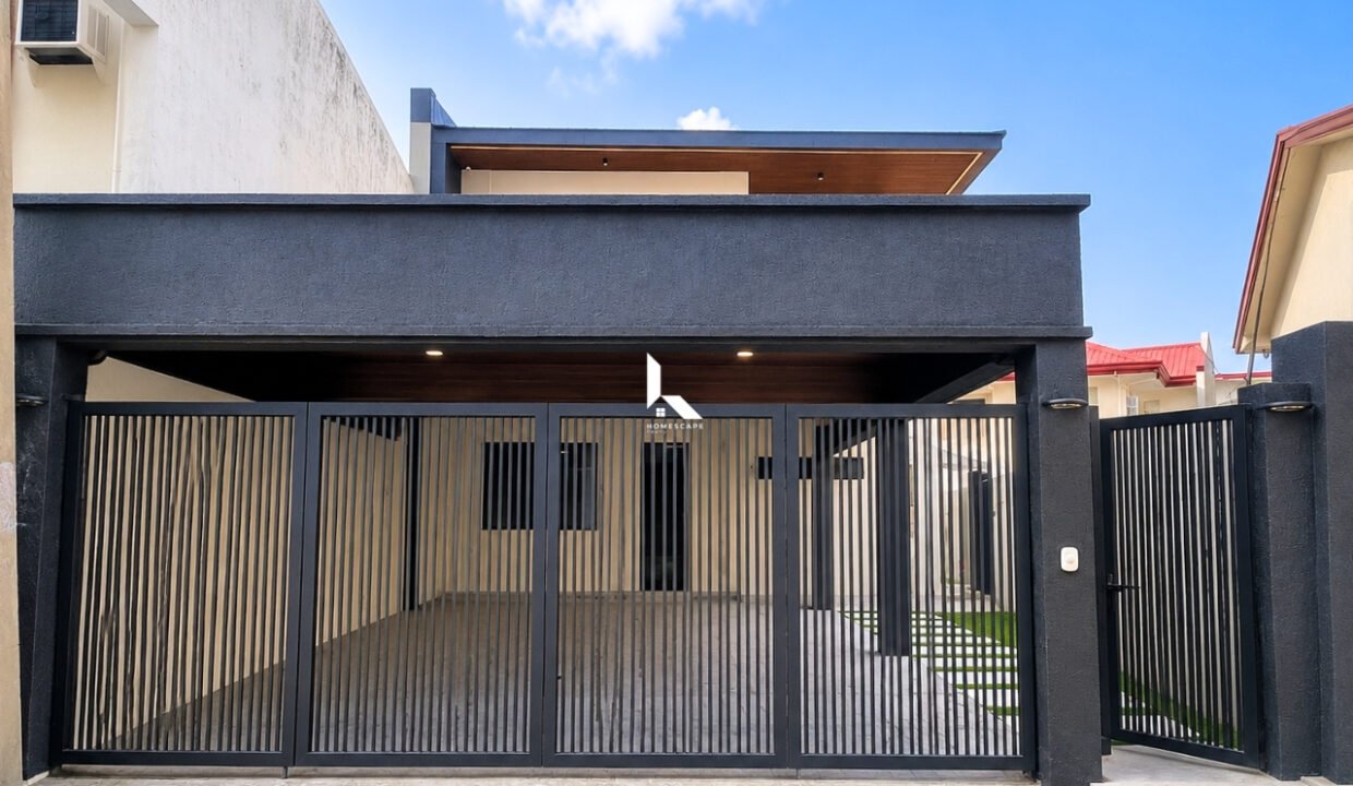 IMG (1)
