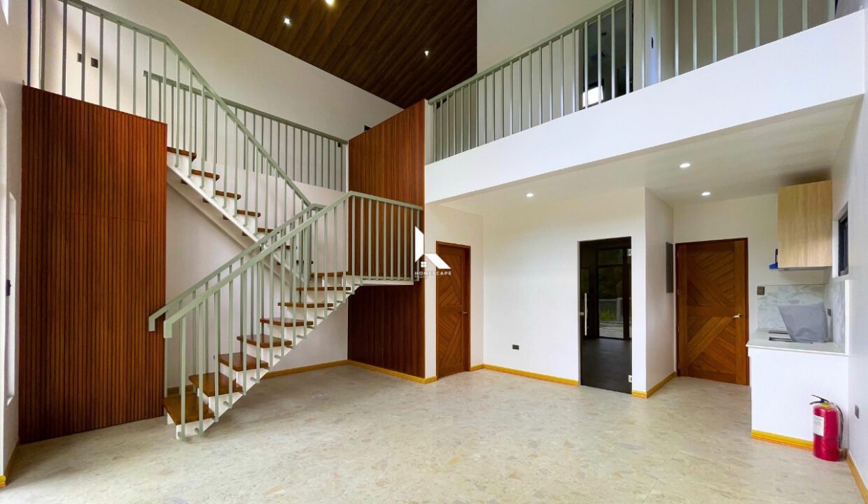 IMG (25)