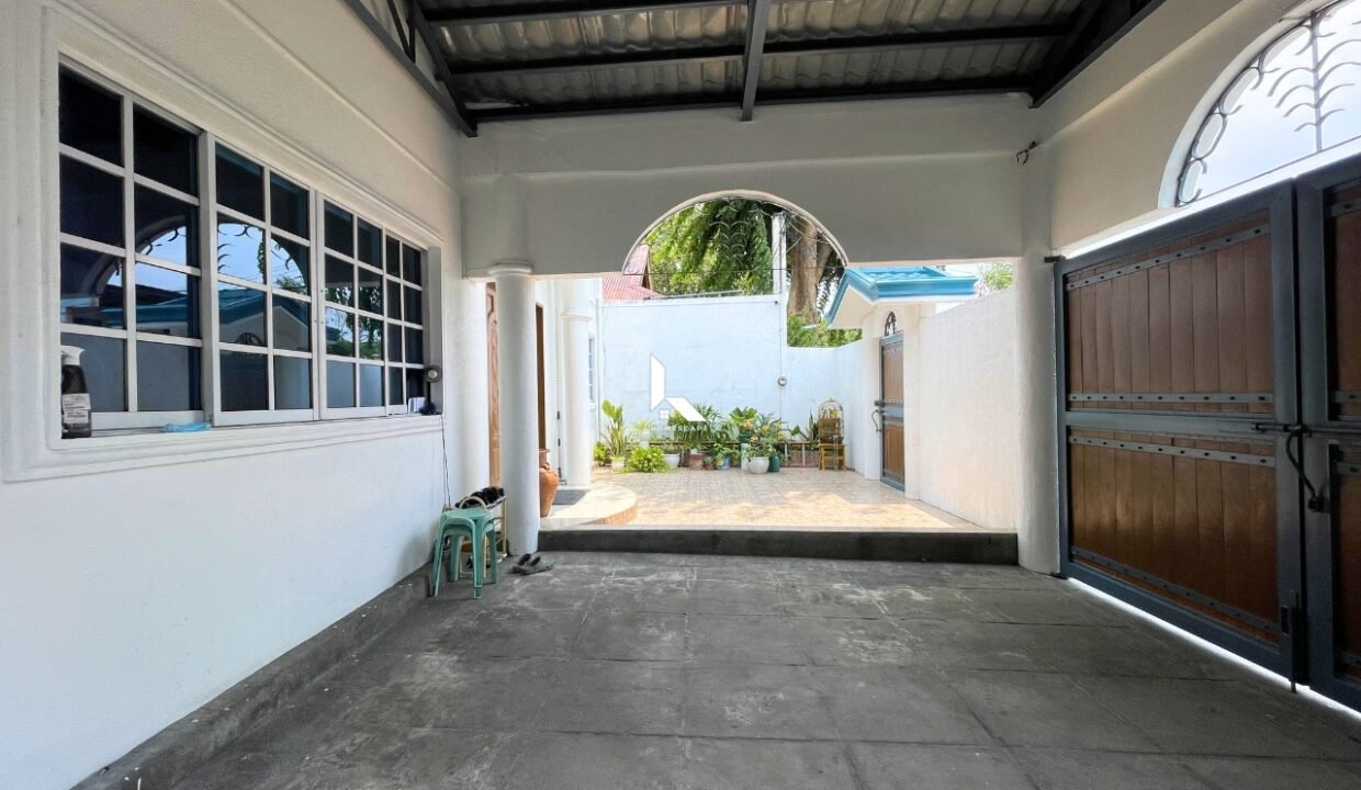 IMG (3)