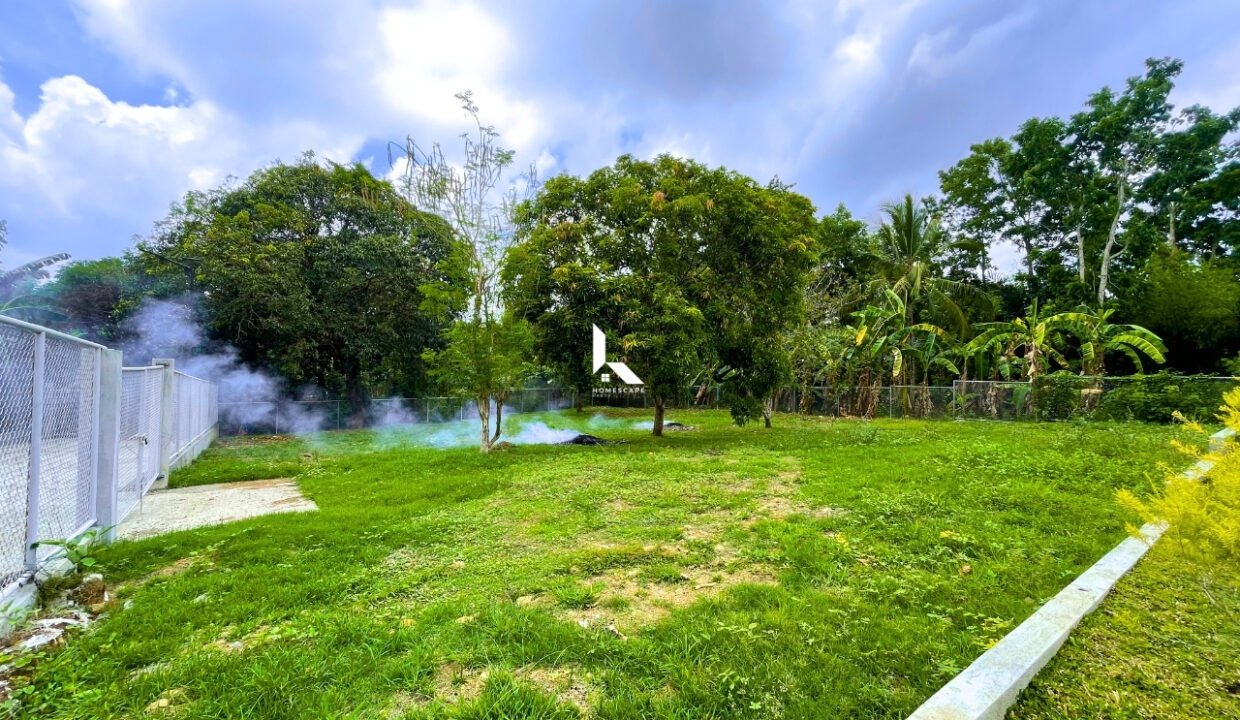 IMG (45)