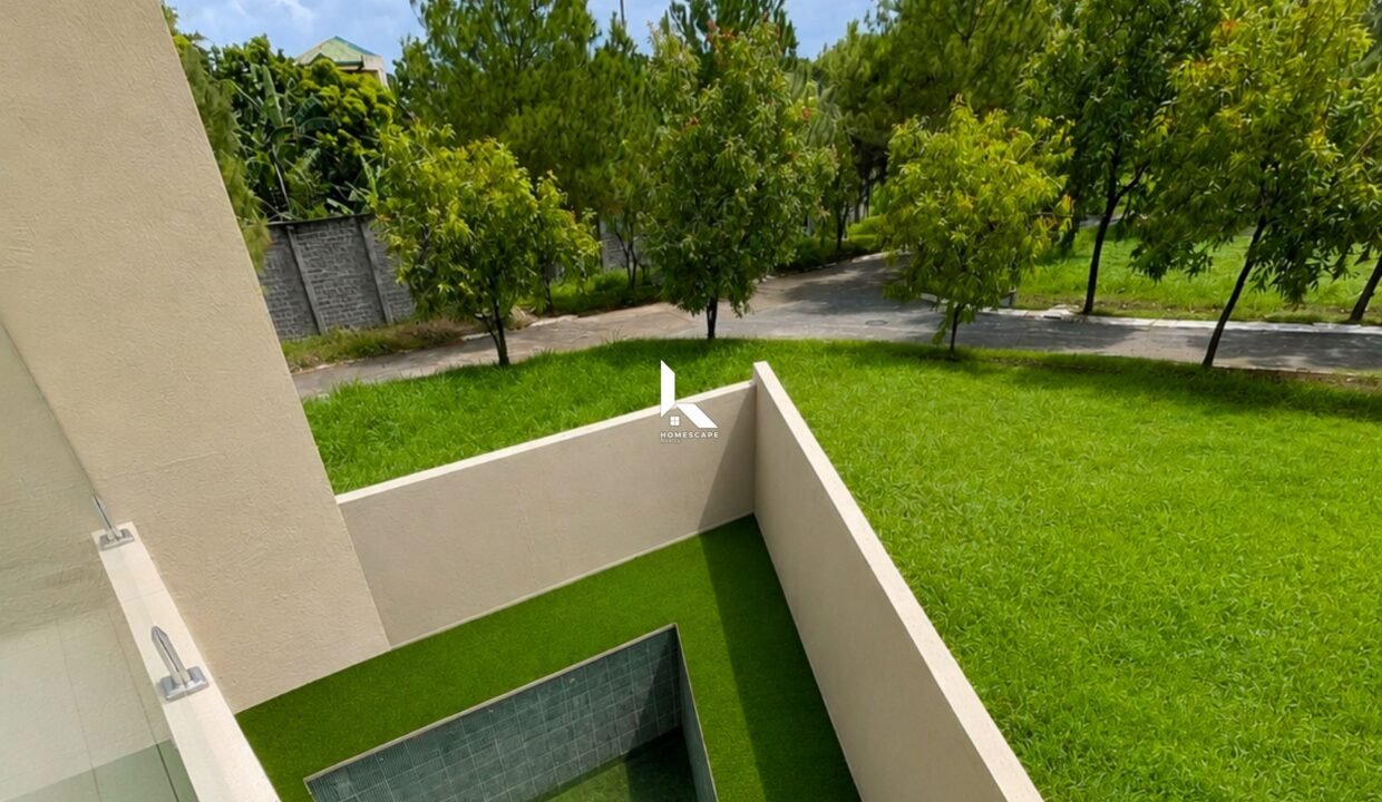 IMG (3)