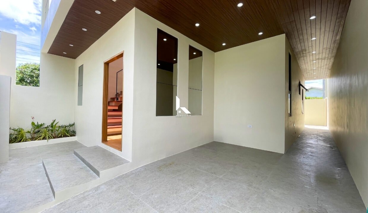 IMG (3)