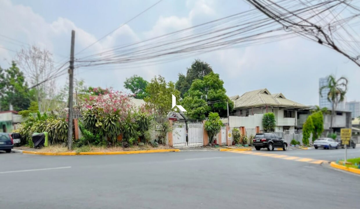IMG (4)