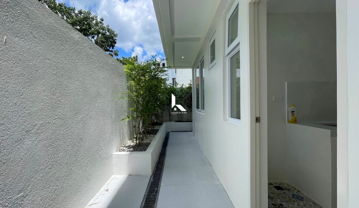 IMG (5)