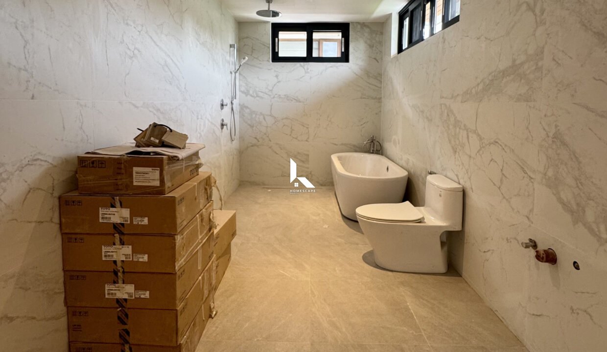 IMG (7)