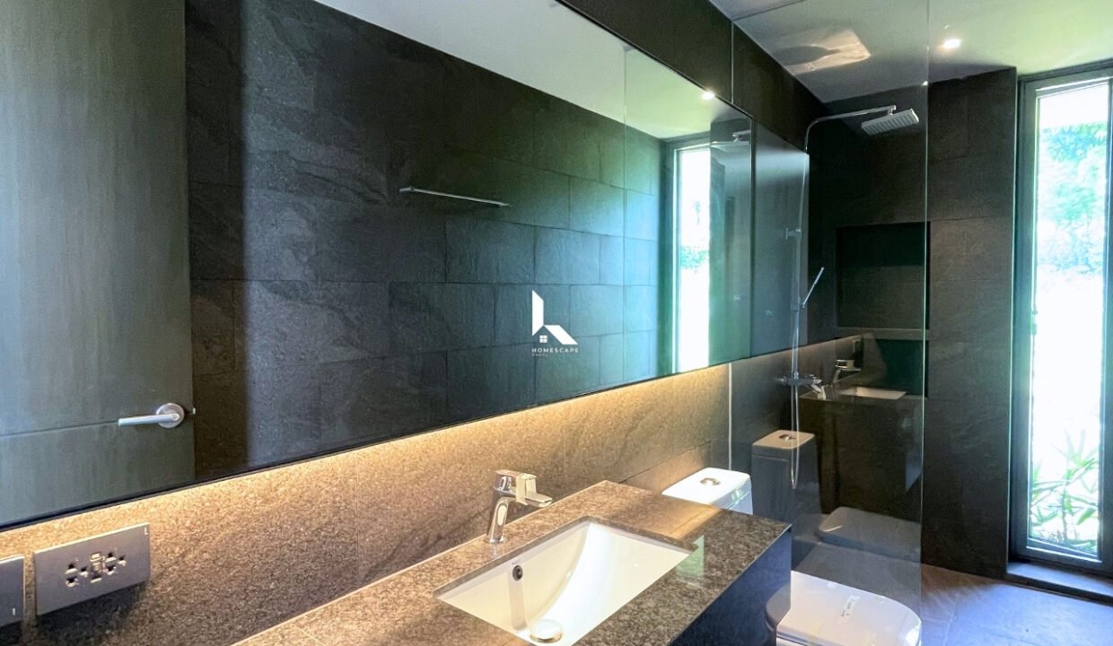 IMG (8)
