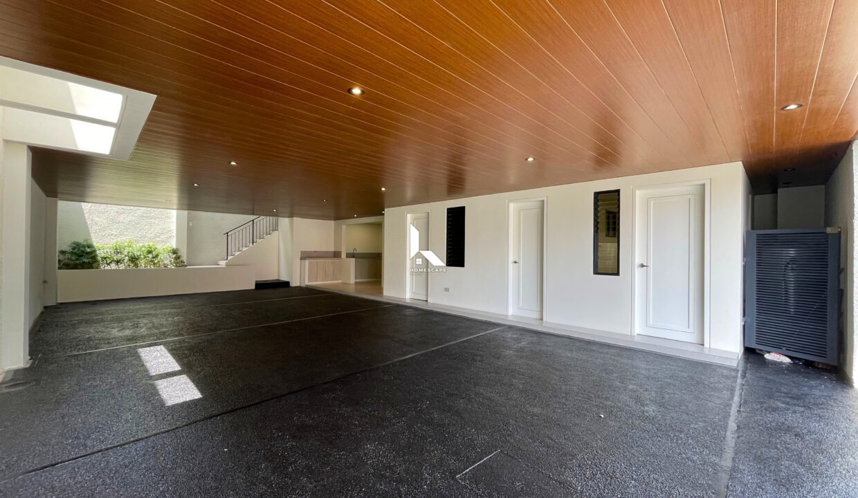 IMG (1)