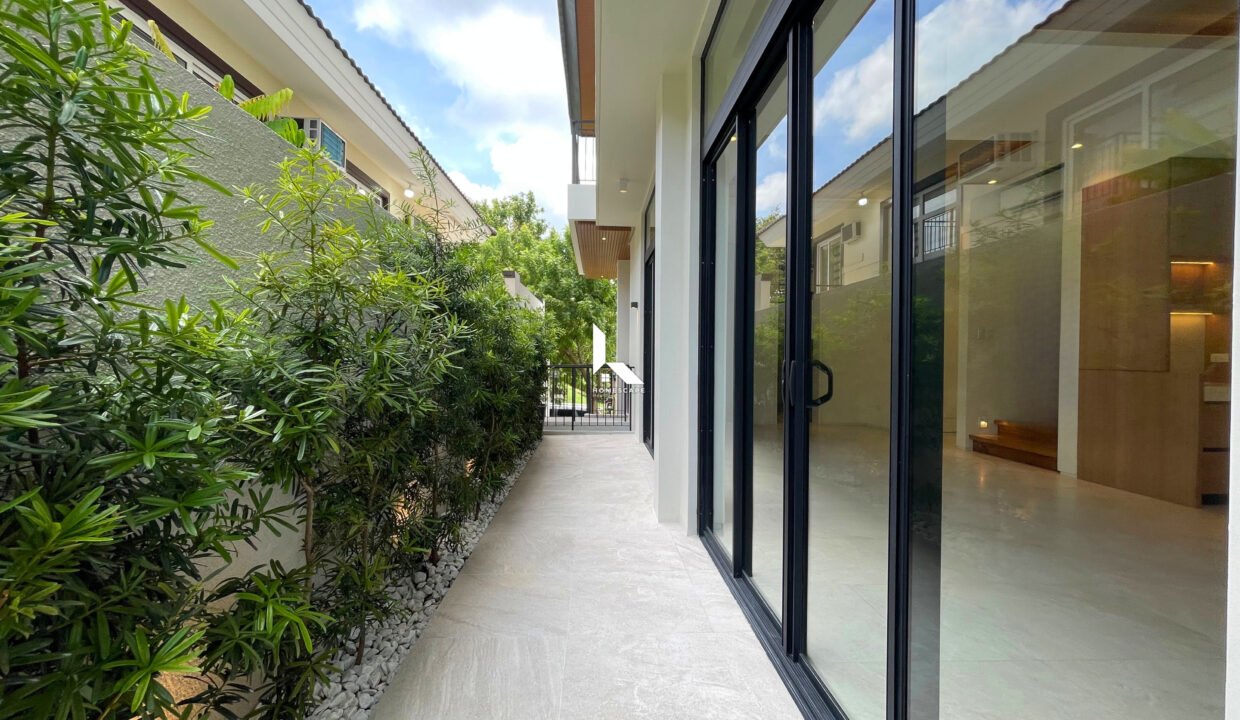 IMG (2)
