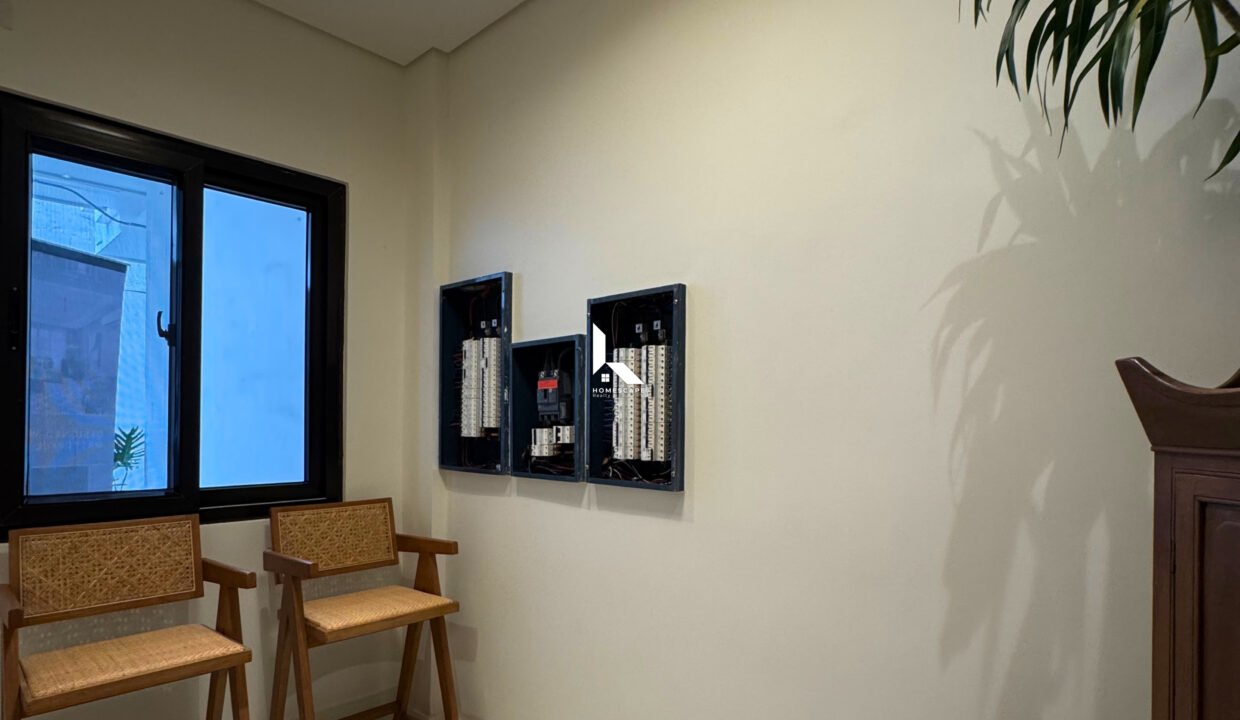 IMG (3)