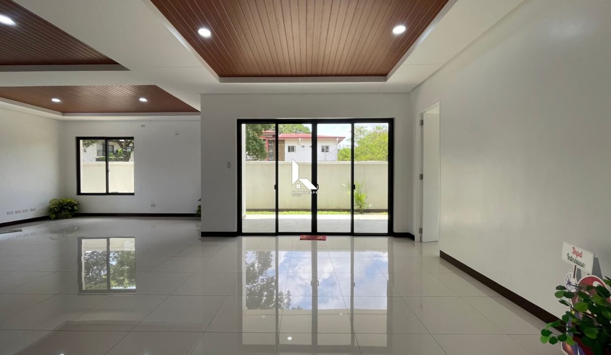 IMG (1)