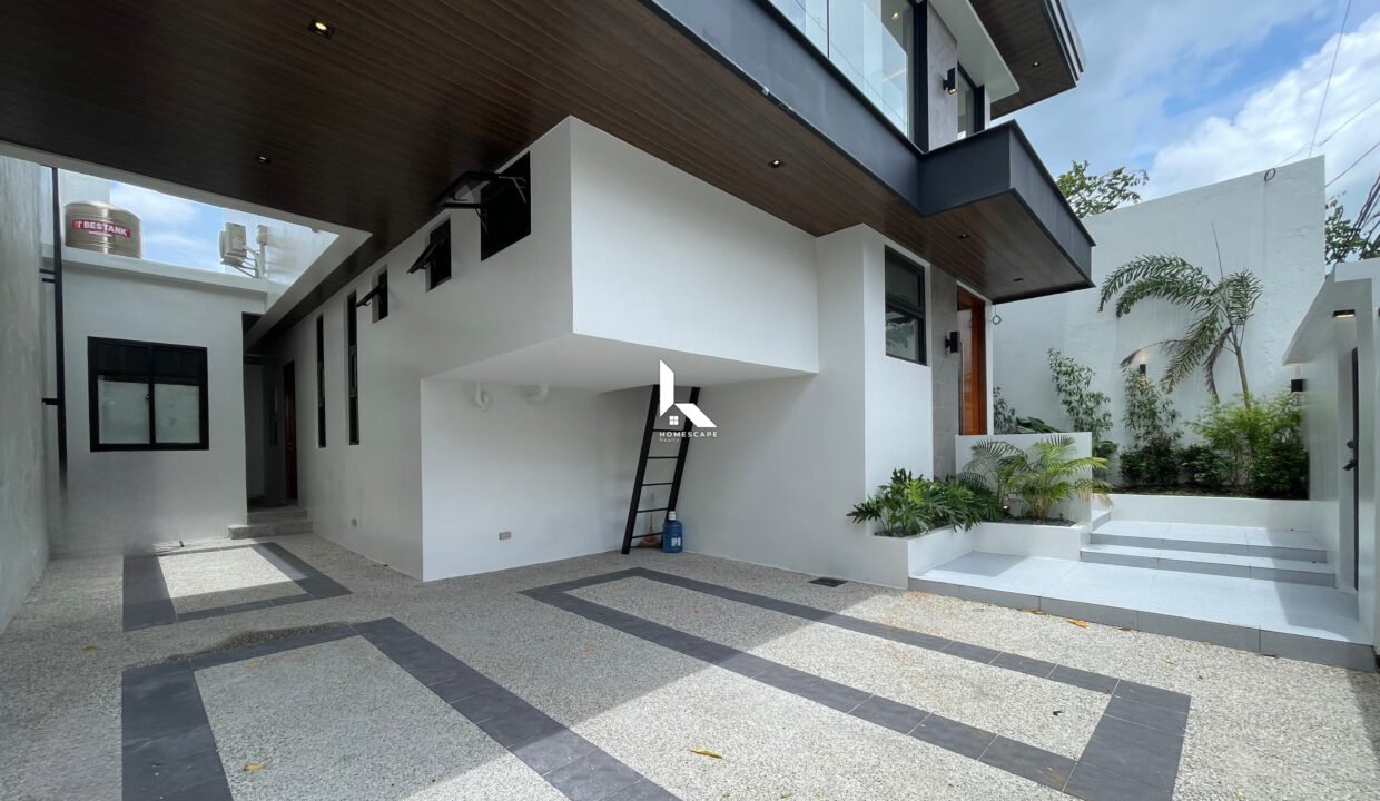 IMG (1)