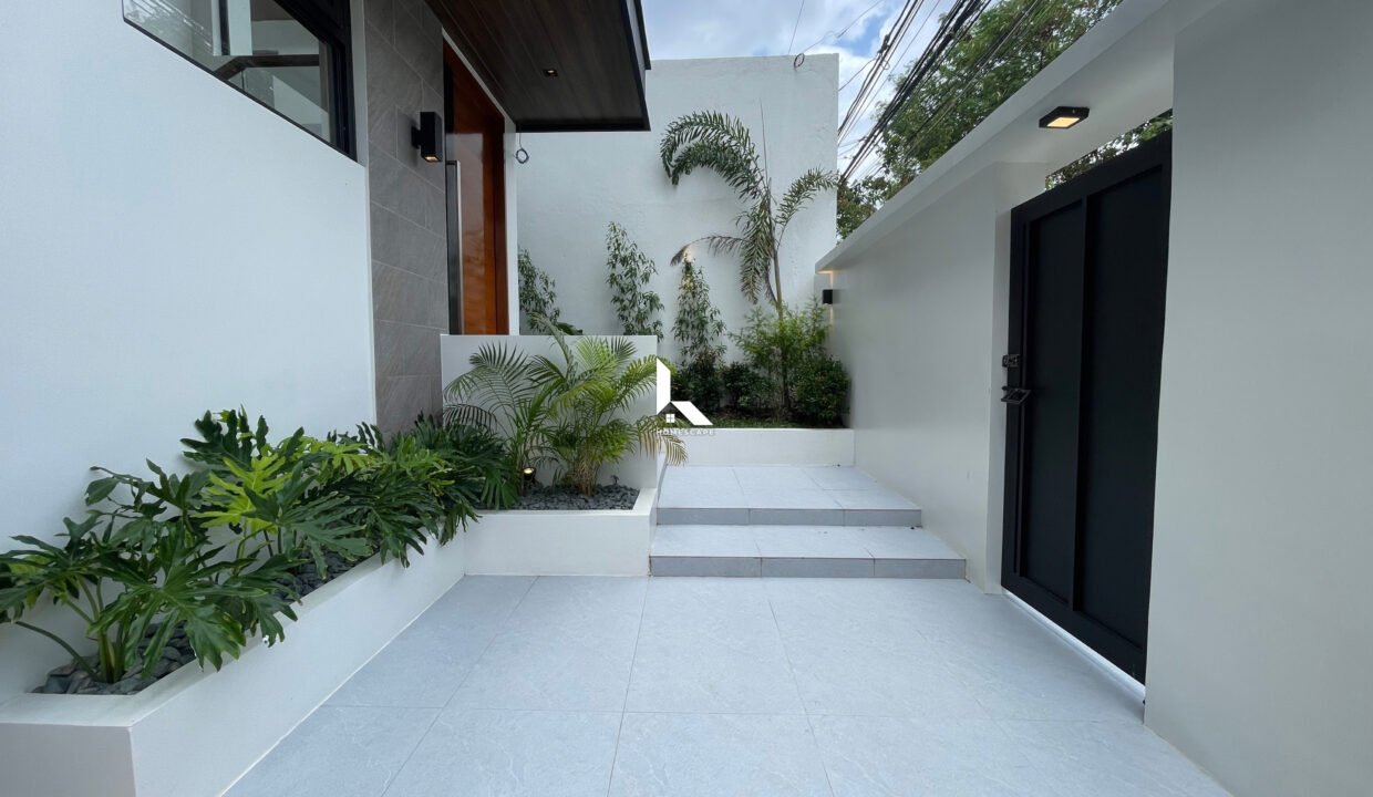 IMG (2)