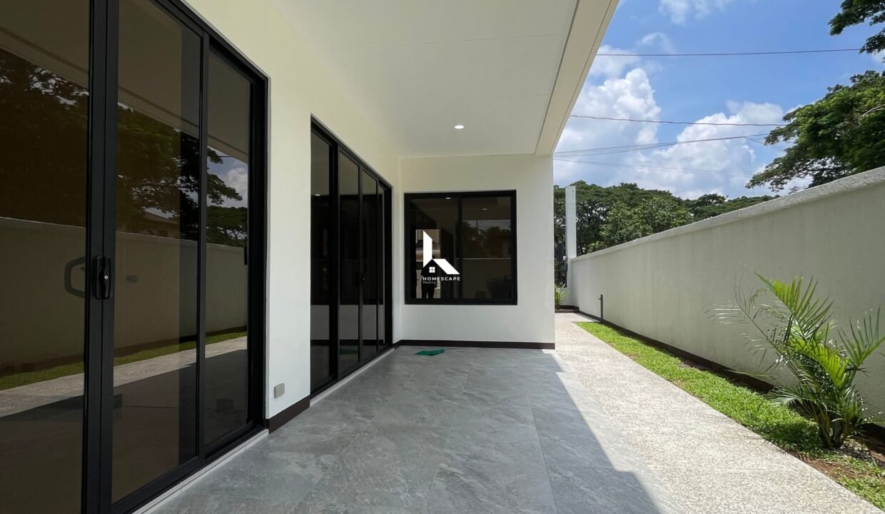 IMG (6)