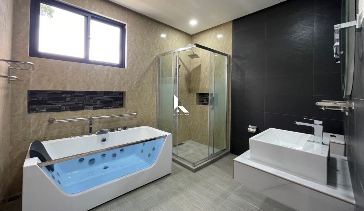 IMG (8)