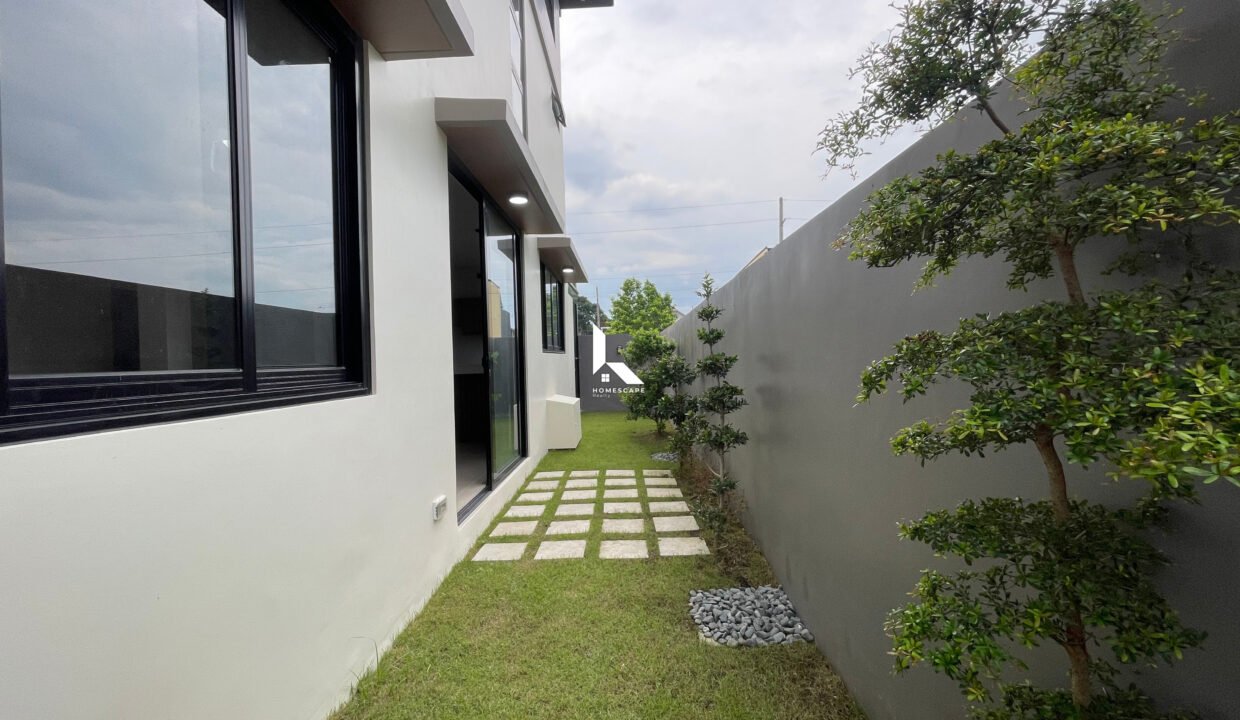 IMG (1)