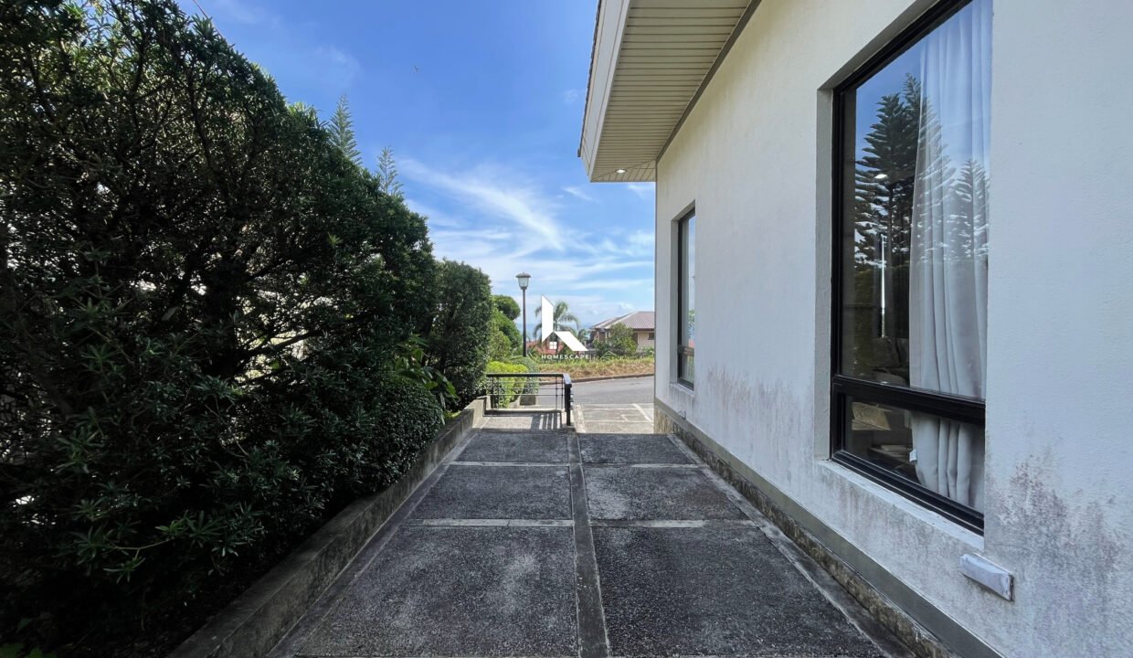 IMG (1)