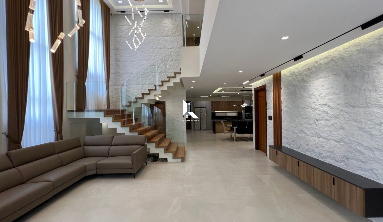 IMG (5)